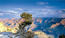 USA-Arizona-Grand Canyon & Havasu Falls Classic Hiker